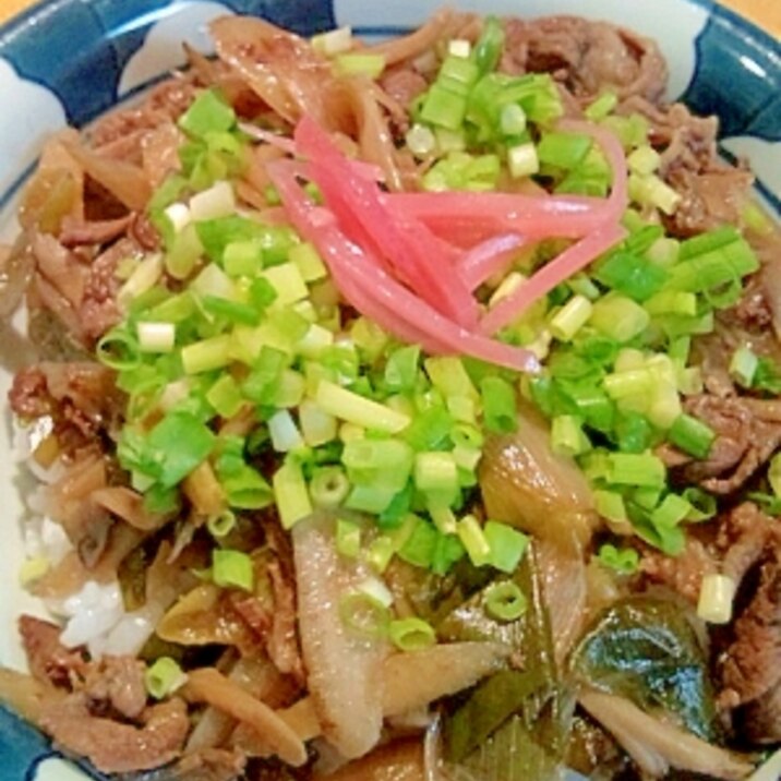 野菜たっぷり!うちの牛丼